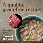 Taste Of The Wild Canyon Beef in Gravy